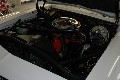 Dsc 0104